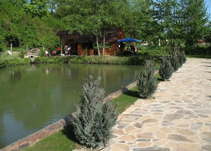 Karpatska Forel